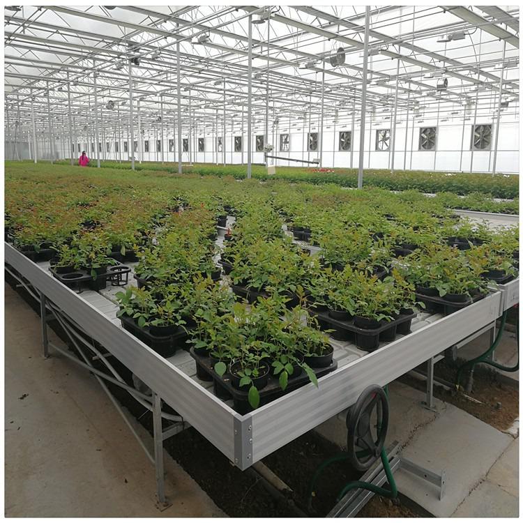 不是什么植物都適用于潮汐苗床的？